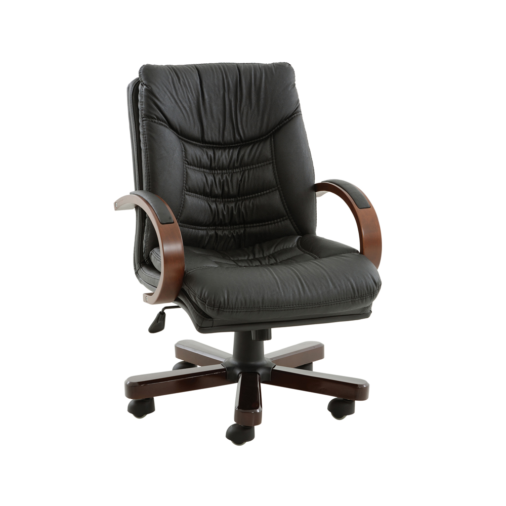 Ofis Koltukları AO193