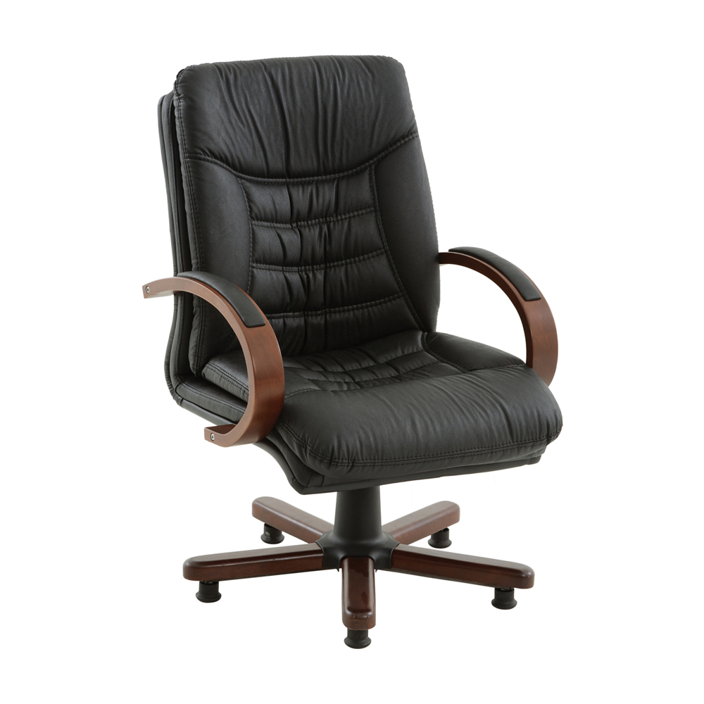 Ofis Koltukları AO194