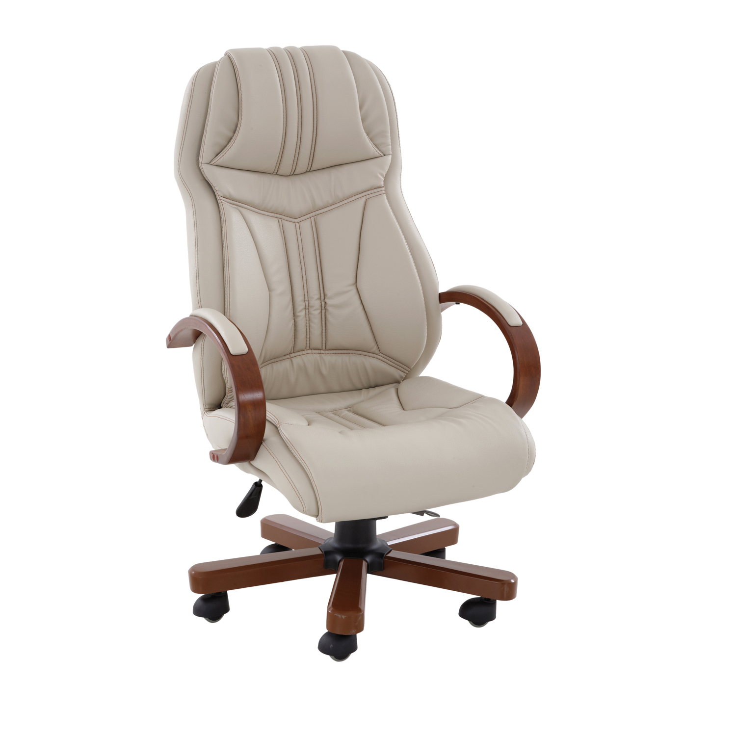 Ofis Koltukları AO61