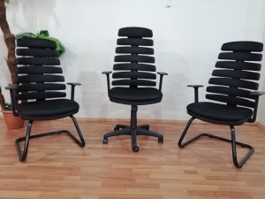 Zebra Koltuk Takımı