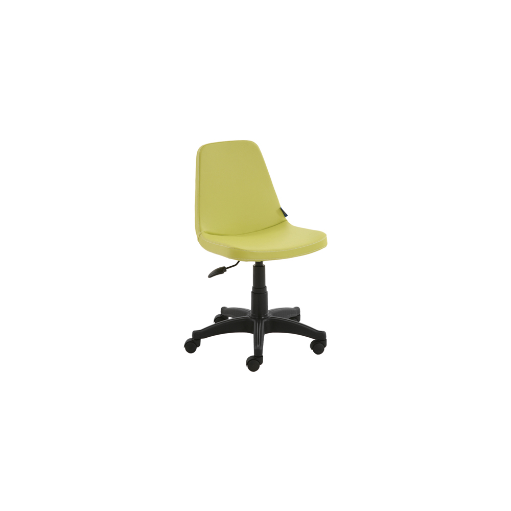 Ofis Koltukları AO119
