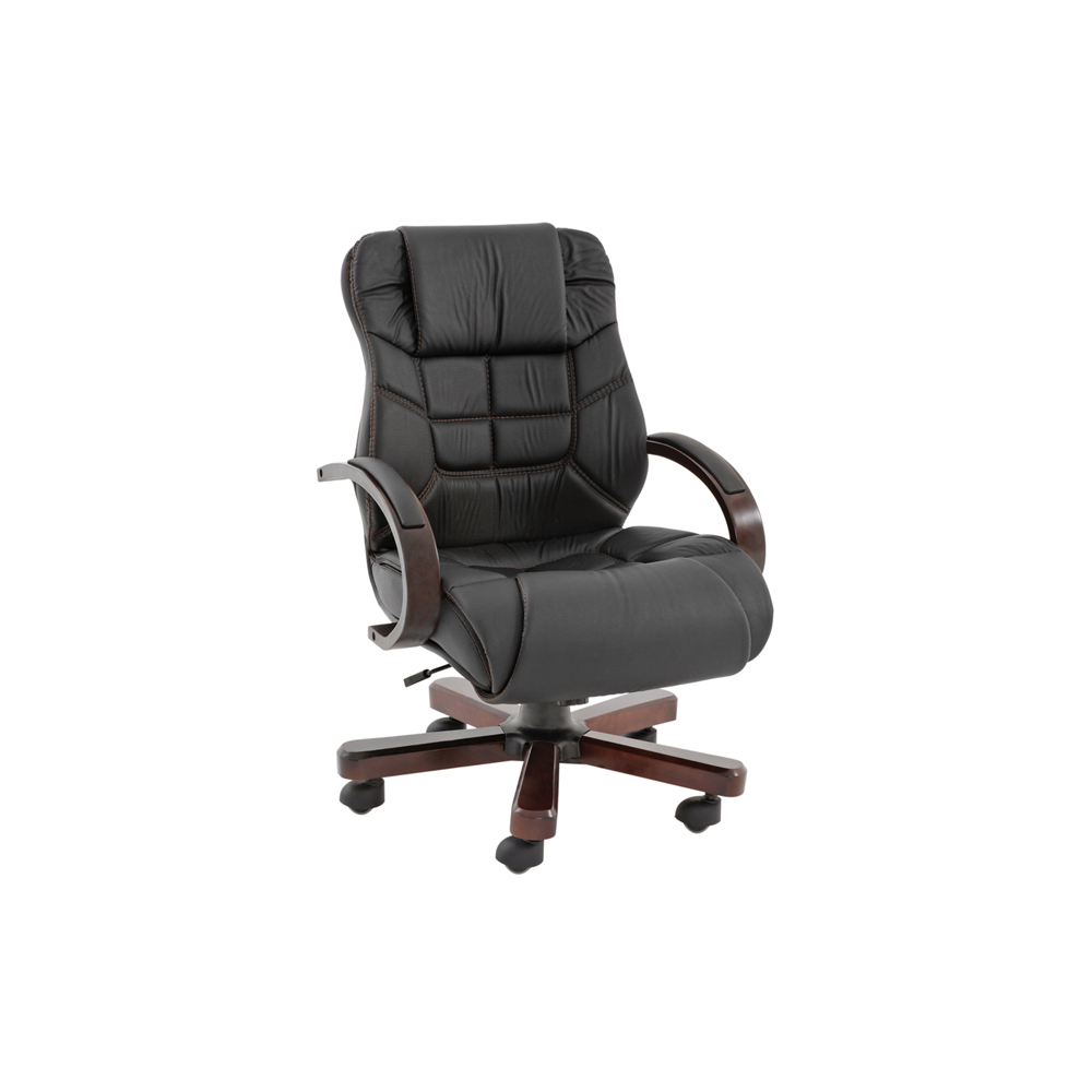 Ofis Koltukları AO209